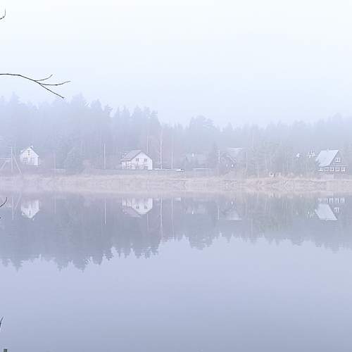 Photo #8280869