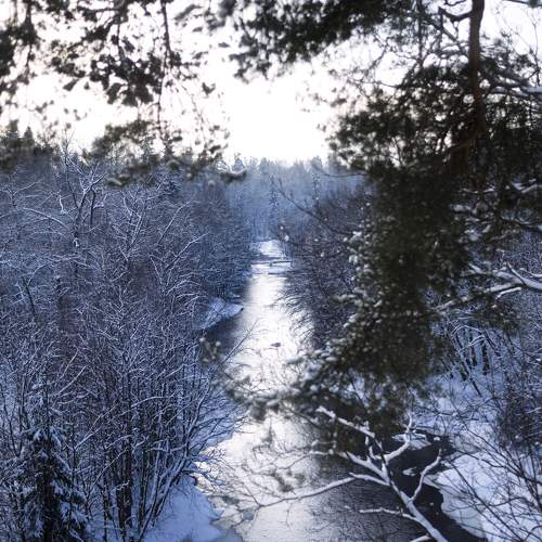 Photo #8280938