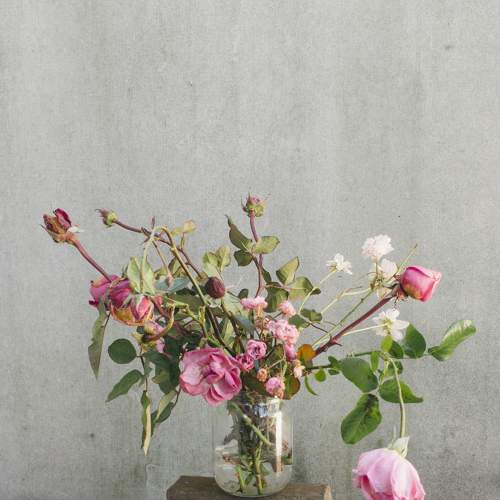 Photo #8281218