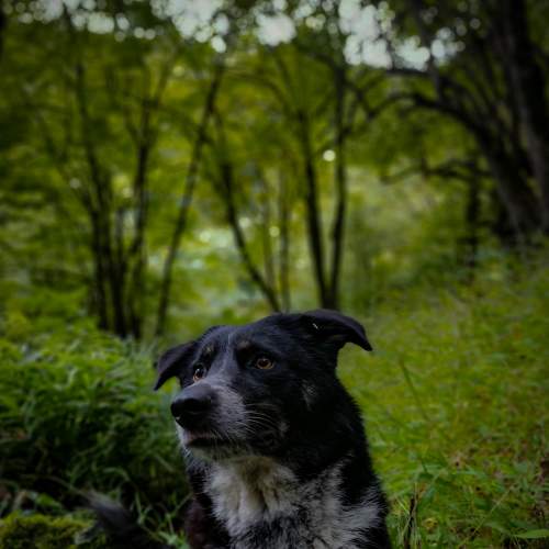 Photo #8281329