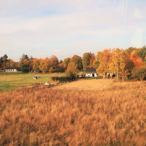 Photo #8281439
