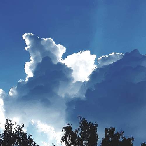 Photo #8281587