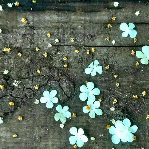 Photo #8281649