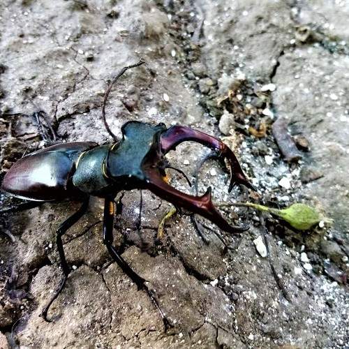 Photo #8281686