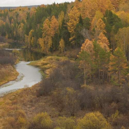 Photo #8282025