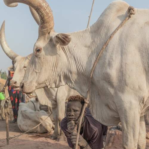 Мыслитель ( The thinker)