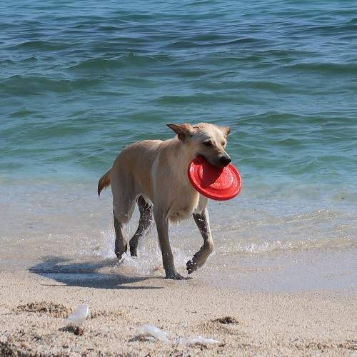 Photo #8282253