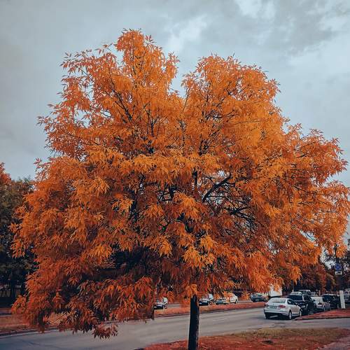 Photo #8282267