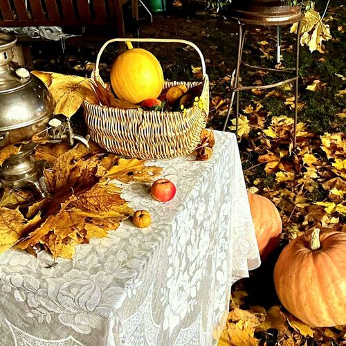 Photo #8282532