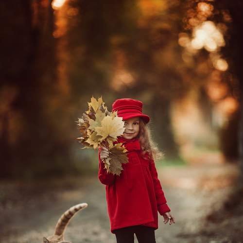 Photo #8282572