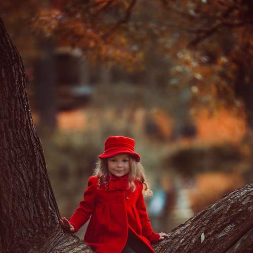 Photo #8282581