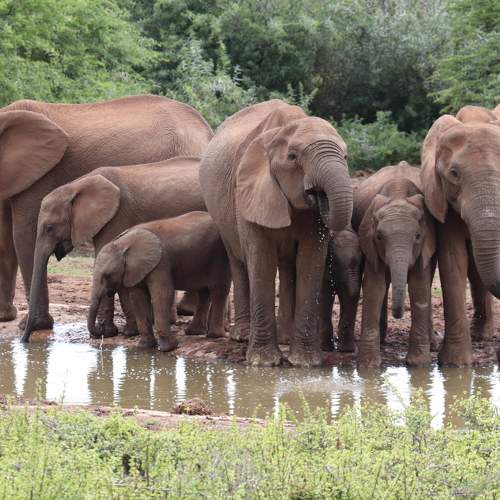 Photo #8282824