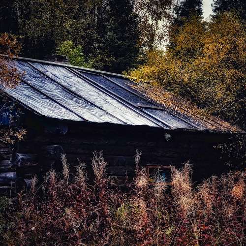 Photo #8282997