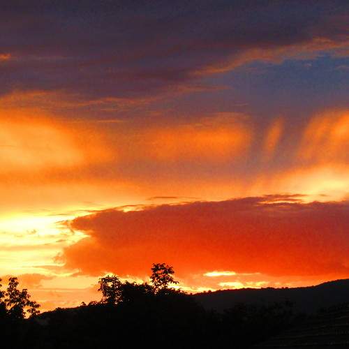 Photo #8283070