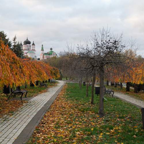 Photo #8283470