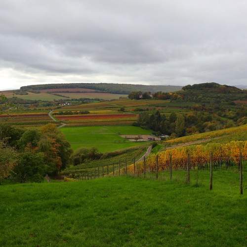 Photo #8283546
