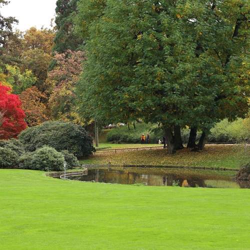 Photo #8283549