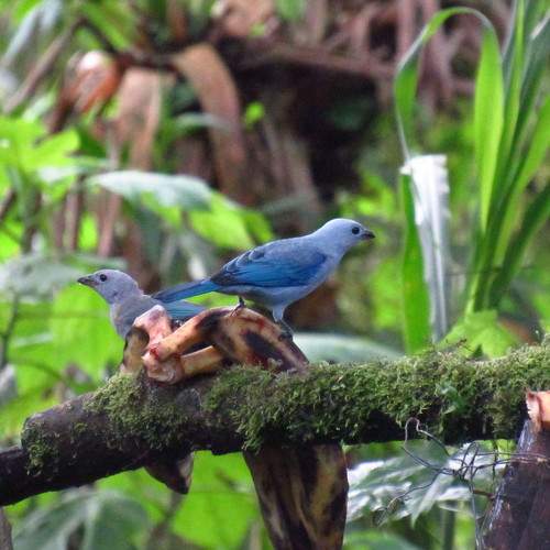 Photo #8283872