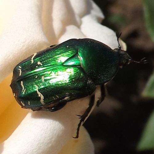 Photo #8283993