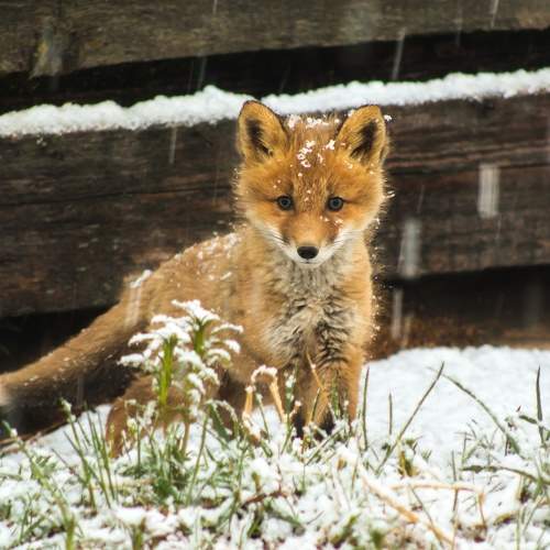 Photo #8284121