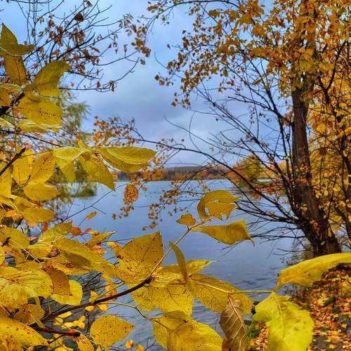 Photo #8284507