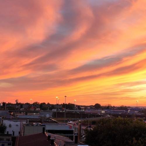 Photo #8284901