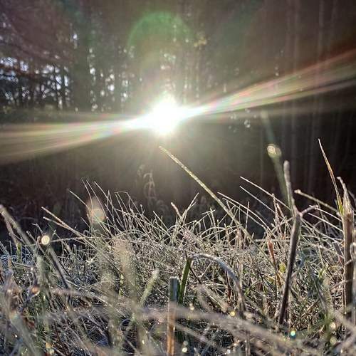 Photo #8285195