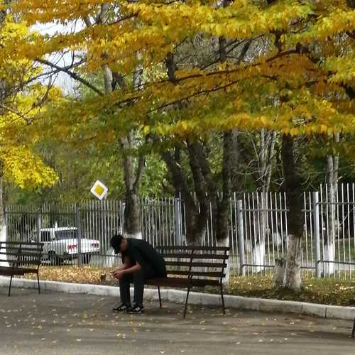 Photo #8285457