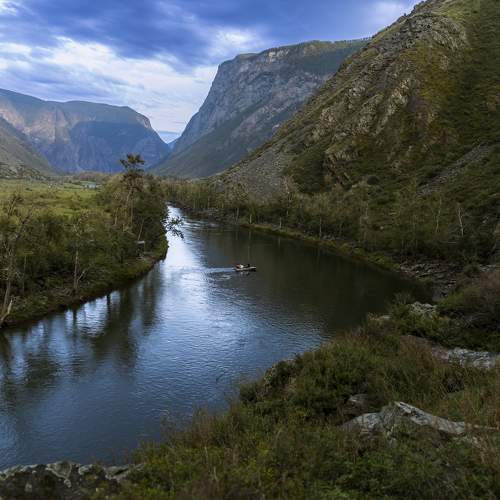 Photo #8285874