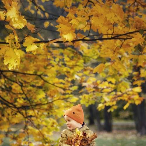 Photo #8285920