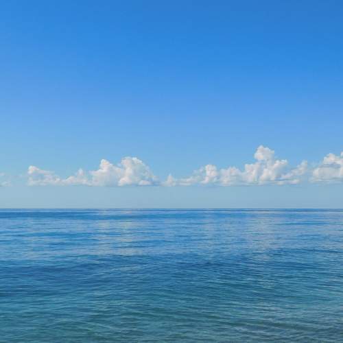 Photo #8286074