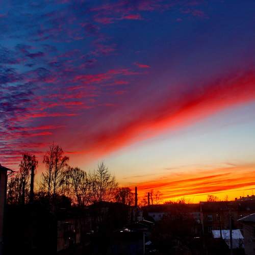 Photo #8286175