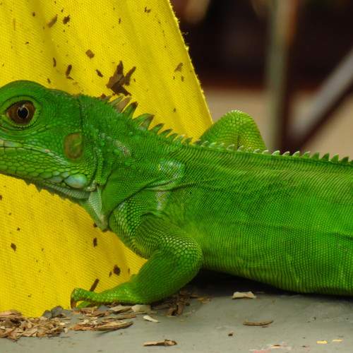 Photo #8286291