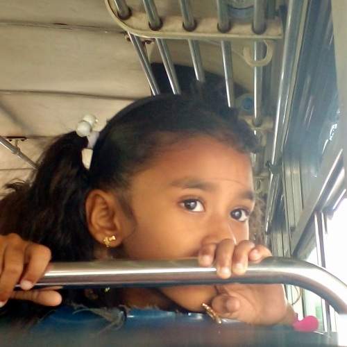 Photo #8286374