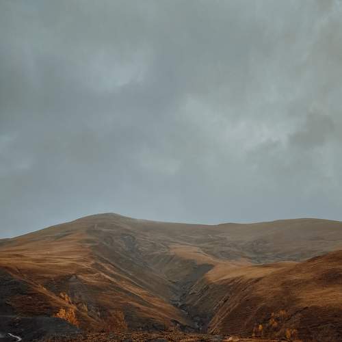 Photo #8286500