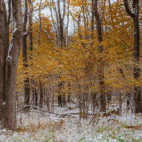 Photo #8286751