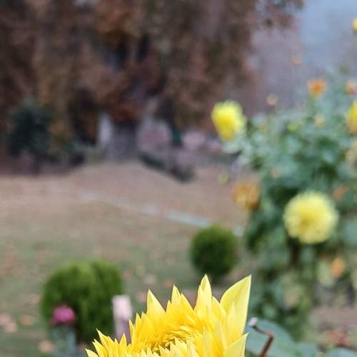 Photo #8286831