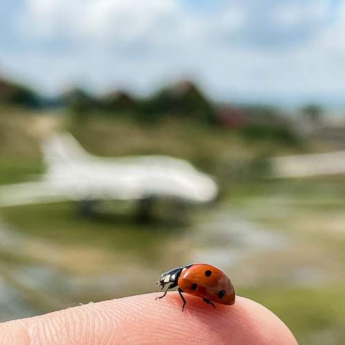 Photo #8286943