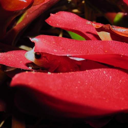Photo #8287322