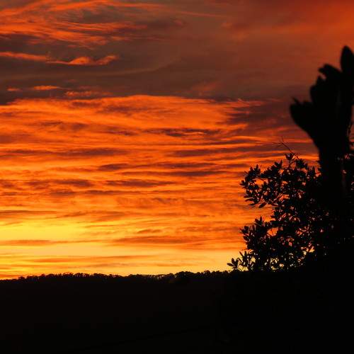 Photo #8287347