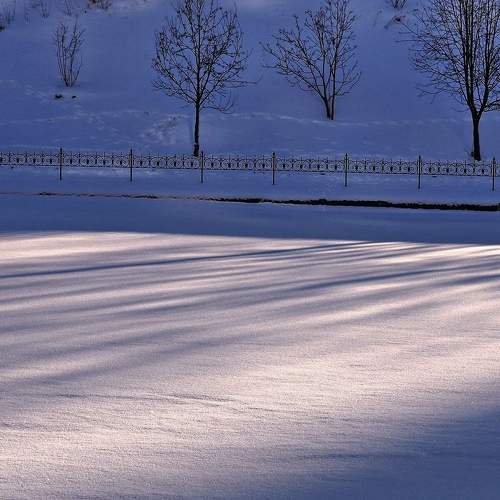 Photo #8287361