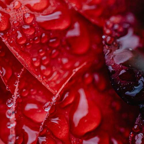 Photo #8287735