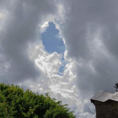 Photo #8288448