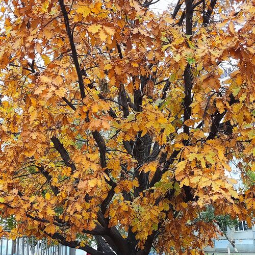 Photo #8288661