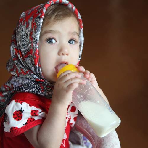 Photo #8288911