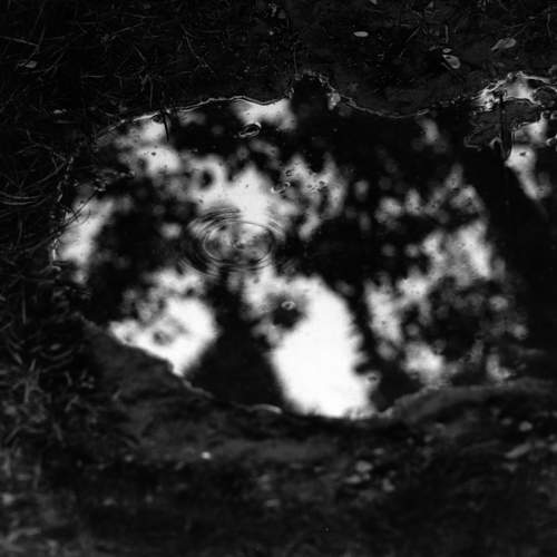 倒映 Reflected