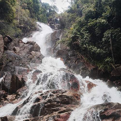 Photo #8289422