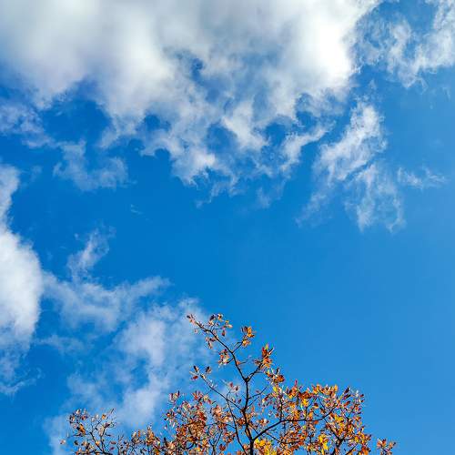 Photo #8289440