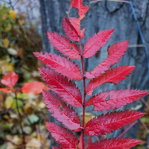 Photo #8289500