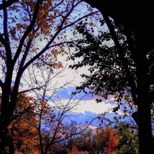 Photo #8290002